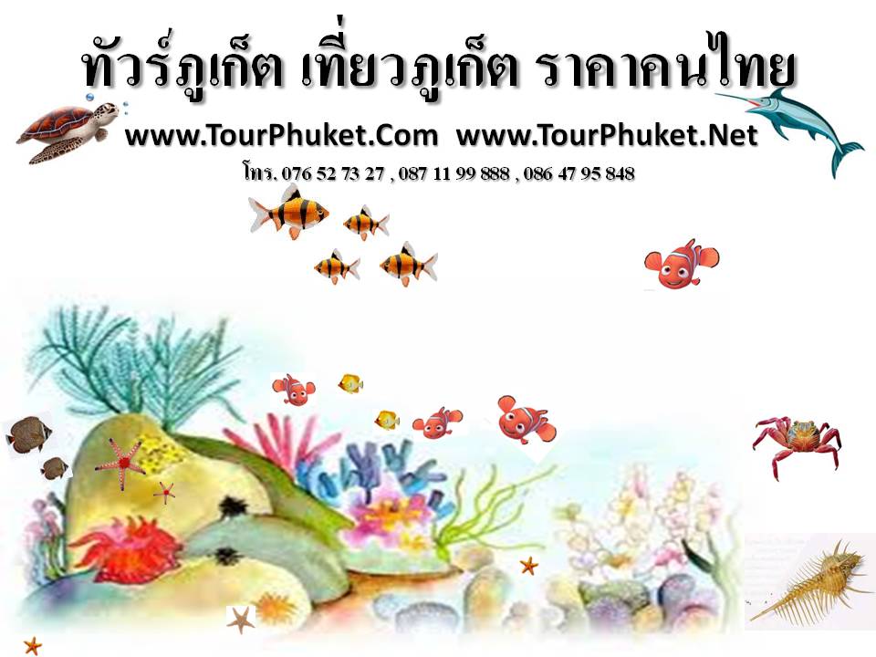  tourphuket.net