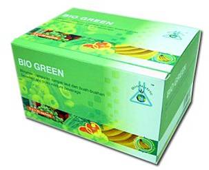 Bio Green (͡չ)--չ 繡üҹѹҧŧҧ÷٧Ѻתѡҧ  价ӧҹء͡ءͧкѺ